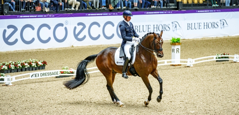 Dressage: due cavalli da GP di Helgstrand verranno montati da Kittel e Werth
