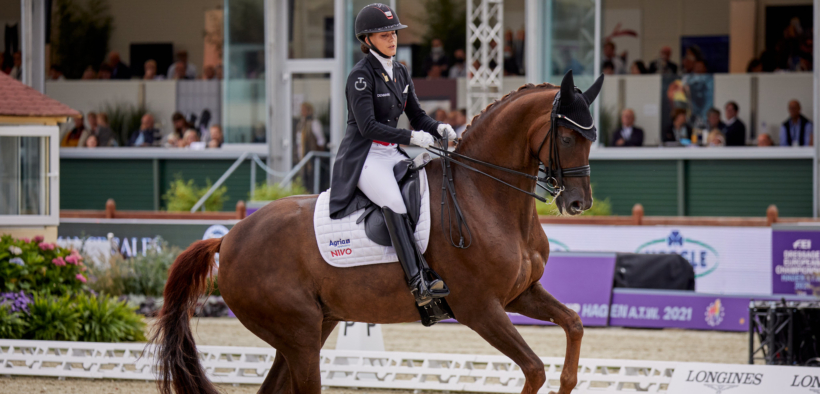 Dressage: il campione Bohemian verrà clonato