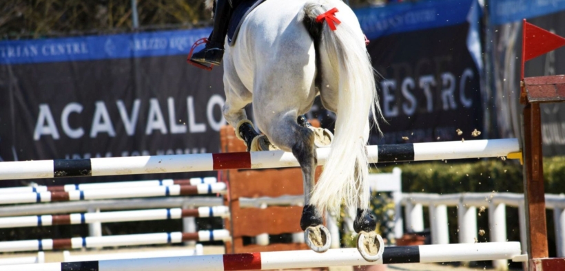 Modifiche ai Regolamenti FEI per il 2024