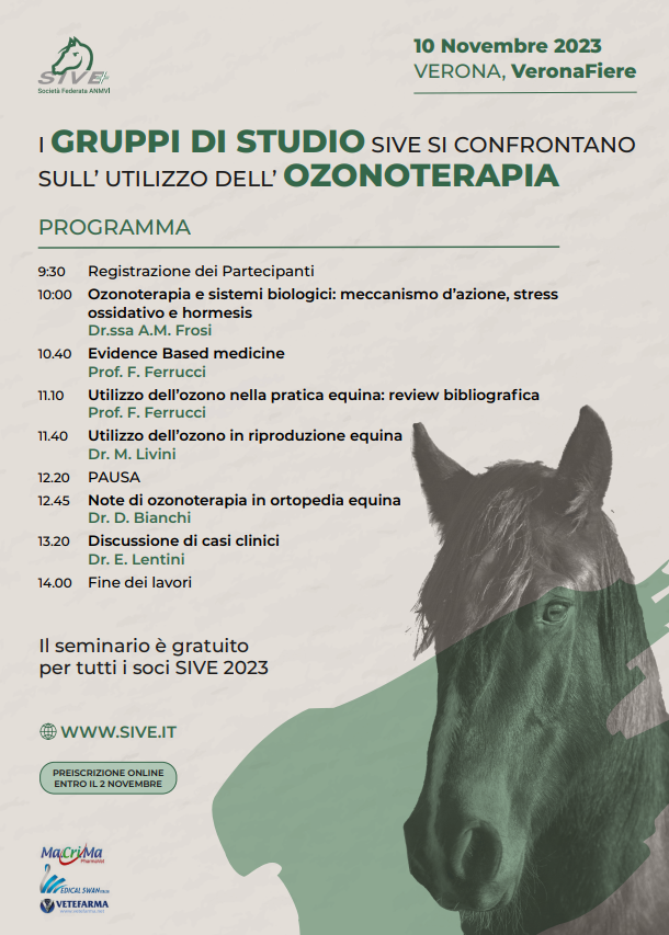 Ozonoterapia in ortopedia equina: scopriamo di più 1