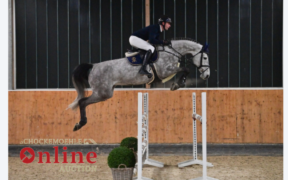 Saltatori di 5-7 anni nella nuova Asta Online Schockemöhle