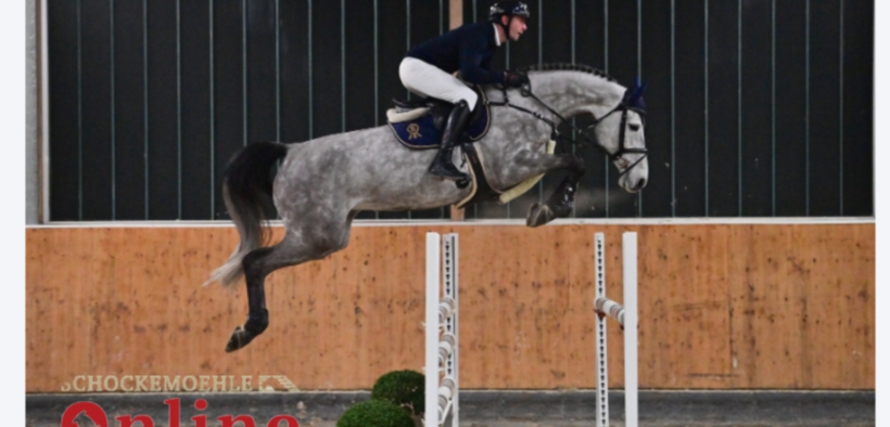 Saltatori di 5-7 anni nella nuova Asta Online Schockemöhle