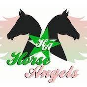 Sostieni Horse Angels 1