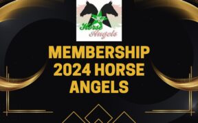 Sostieni Horse Angels 2