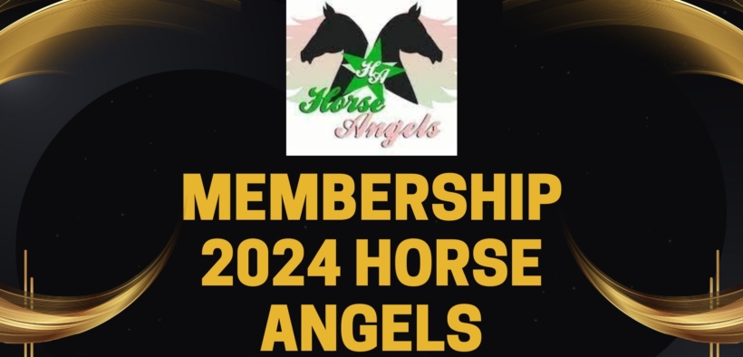 Sostieni Horse Angels 2