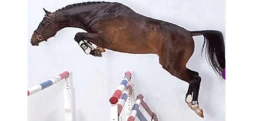 Caretino (Caretino 2)