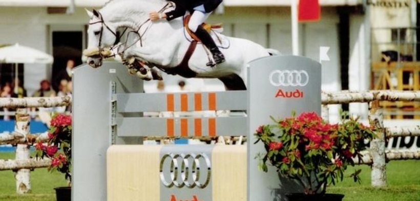 Cassini I (San Patrignano Cassini I)