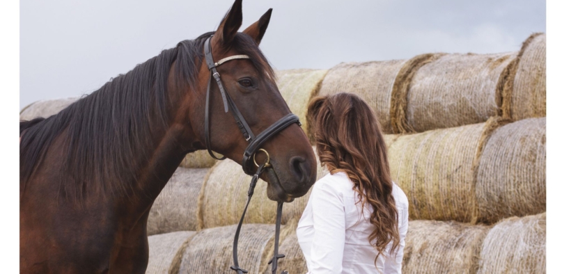 Condannato a 10 anni il Presidente della scuderia di Pioltello per abusi sessuali su minorenni
