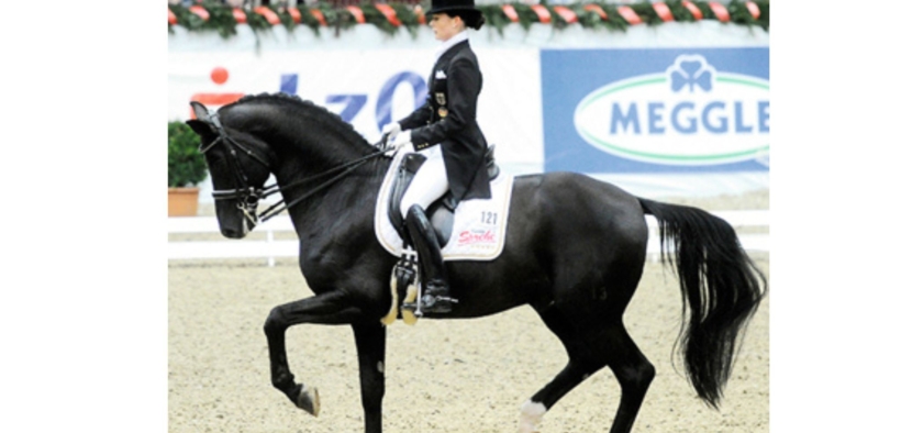 Desperados FRH (Desperados I - Desperados 11)