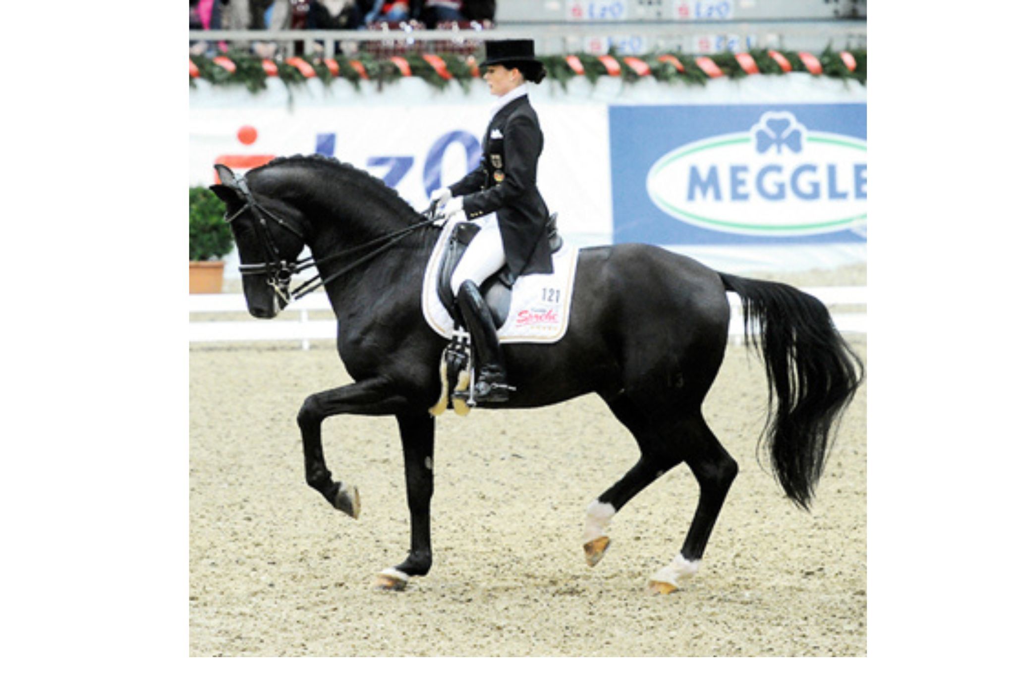 Desperados FRH (Desperados I - Desperados 11)