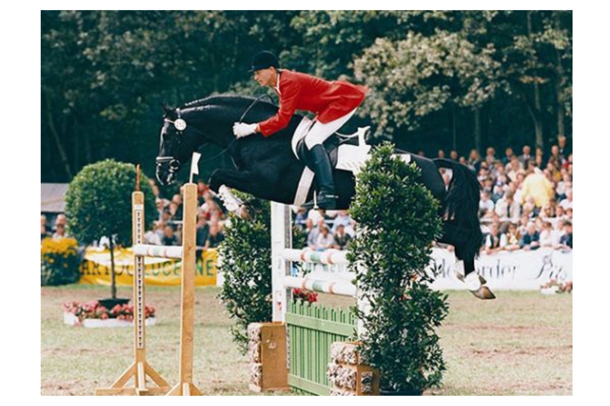 Escudo I (Escudo 19)