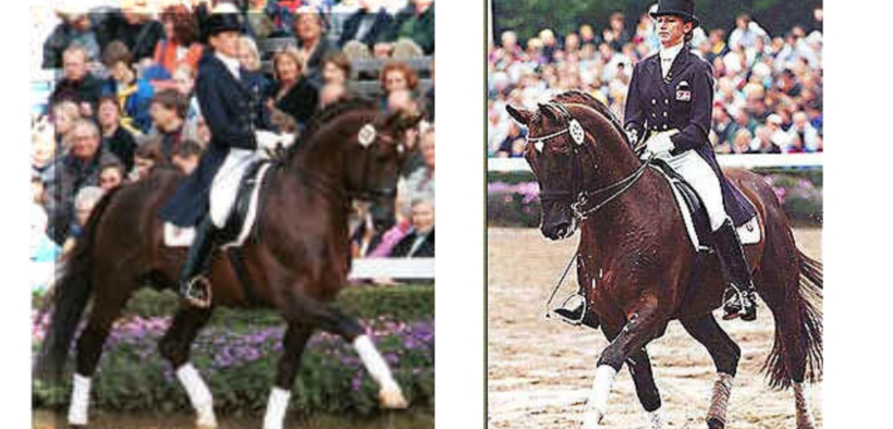 Fidermark NRW (Fidermark I)