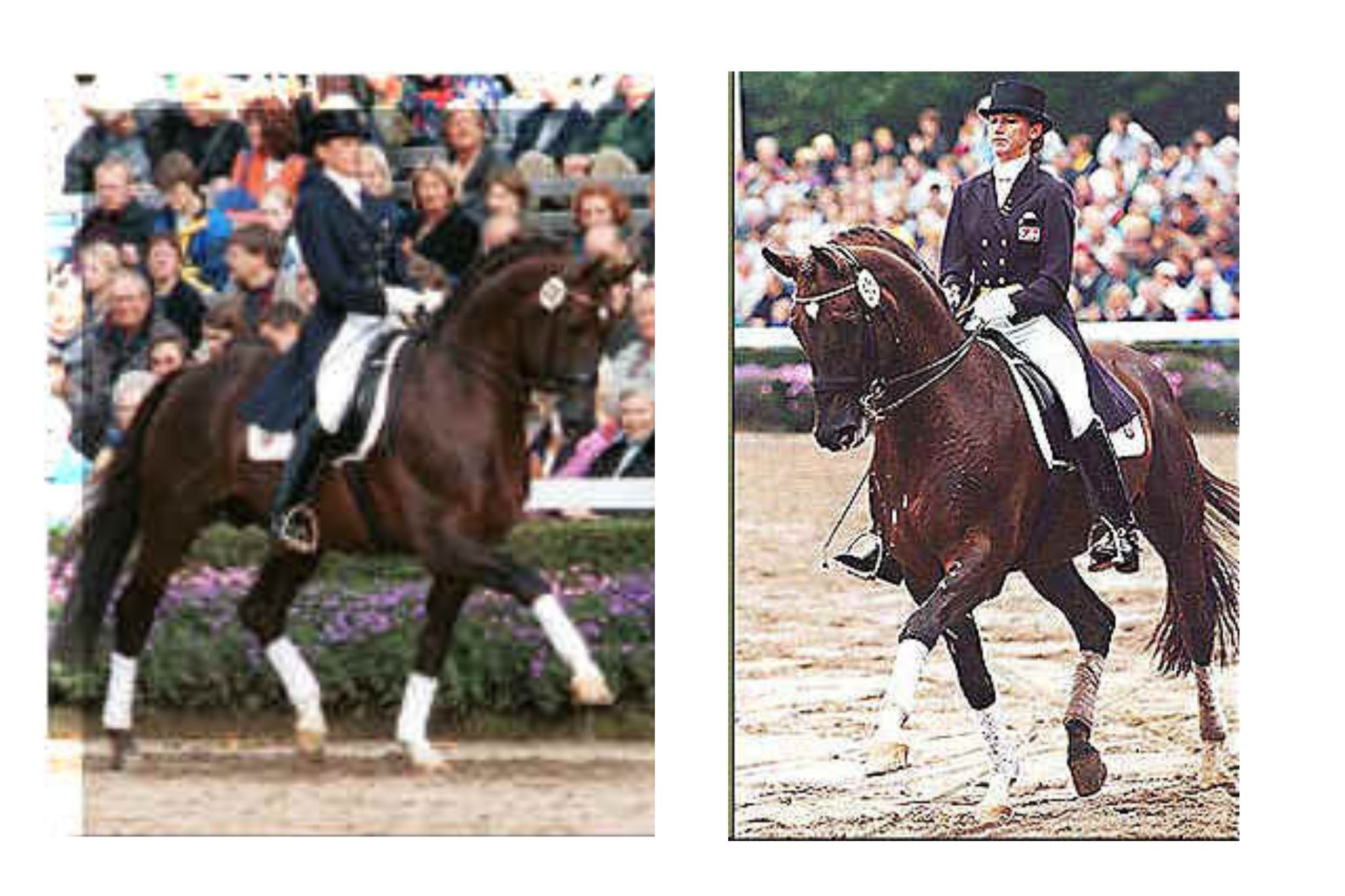 Fidermark NRW (Fidermark I)