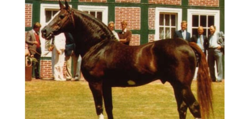 Furioso II (Vertuoso)