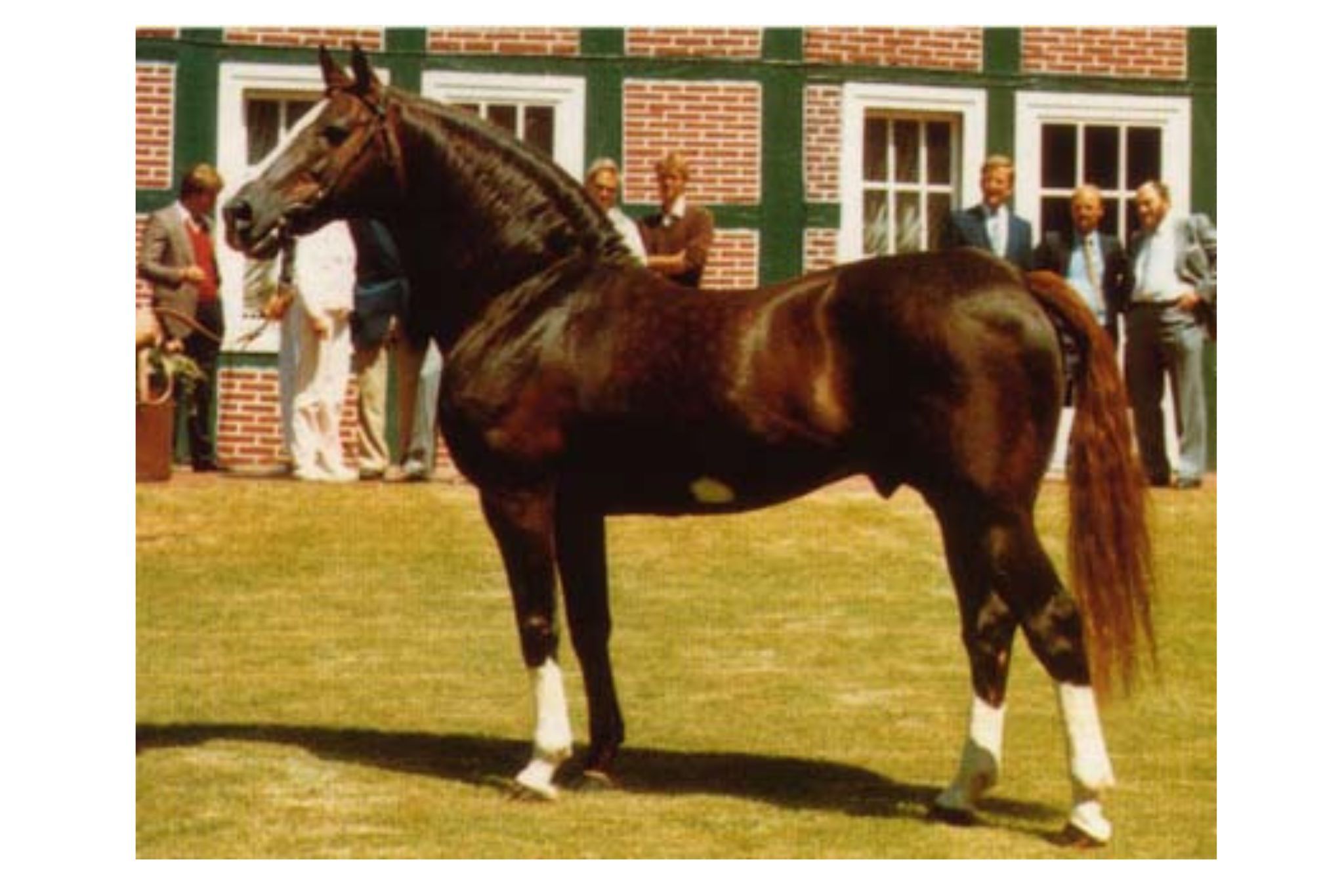 Furioso II (Vertuoso)