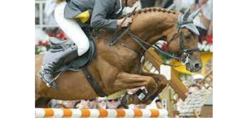 Goldfever I (Goldfever, Goldfever 3)