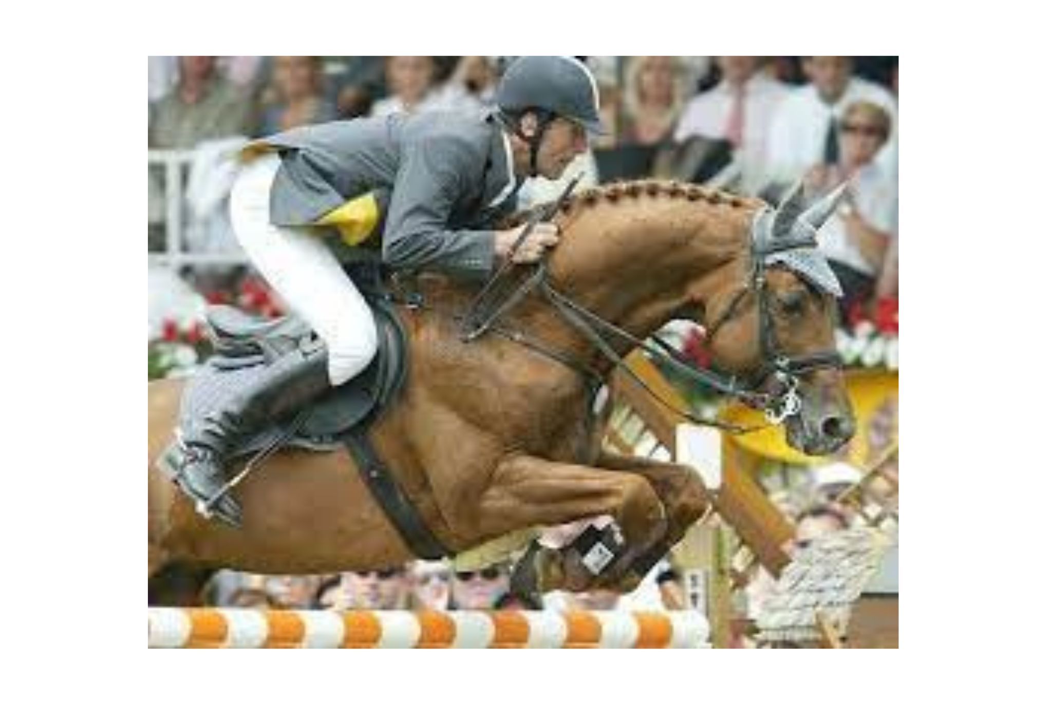 Goldfever I (Goldfever, Goldfever 3)