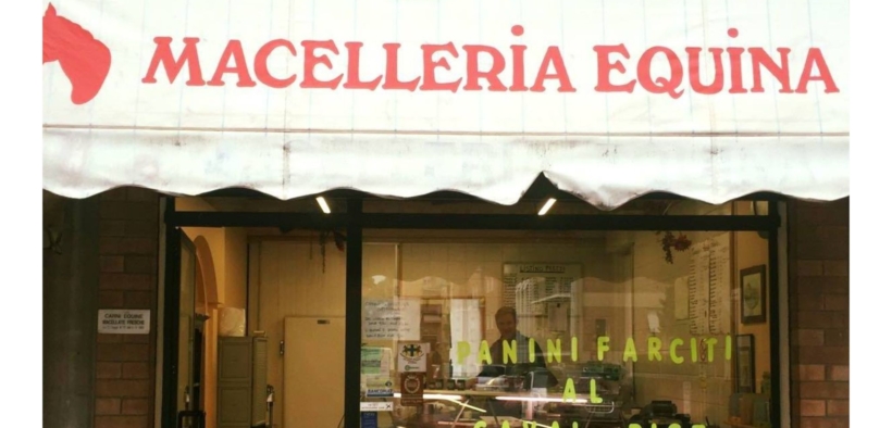 I cittadini europei chiedono il divieto per la macellazione dei cavalli