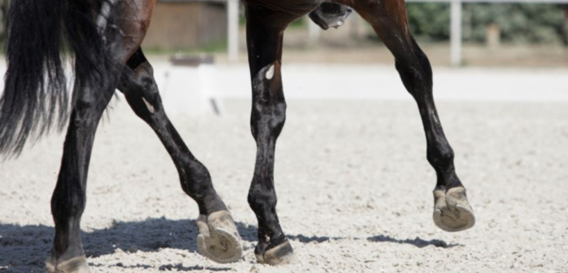 IDRC, IDTC e IDOC unite sul caso Parra