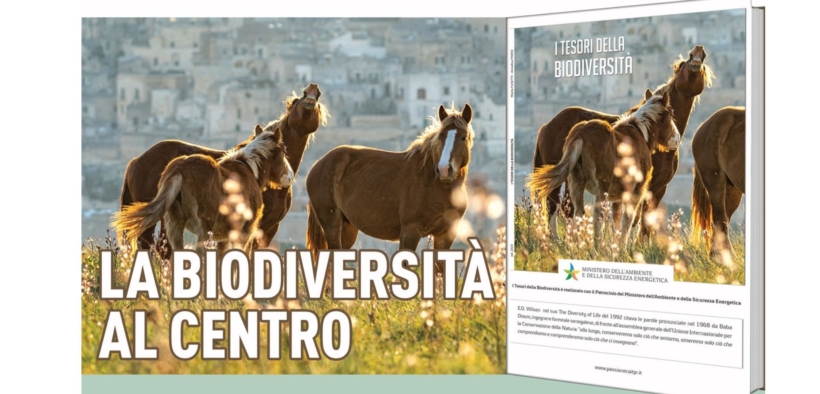 Il 22 febbraio un convegno all’Università di Teramo: parola d’ordine biodiversità
