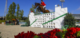 Top Jumping Horses: United Touch S un inbreeding vincente