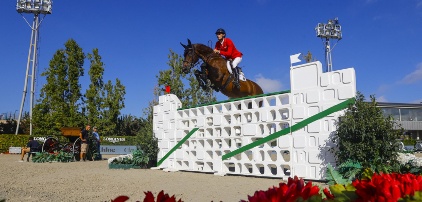 Top Jumping Horses: United Touch S un inbreeding vincente