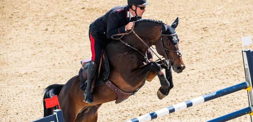 Classifica degli stalloni approvati impegnati attualmente nel salto ostacoli, Crack Balou 8^