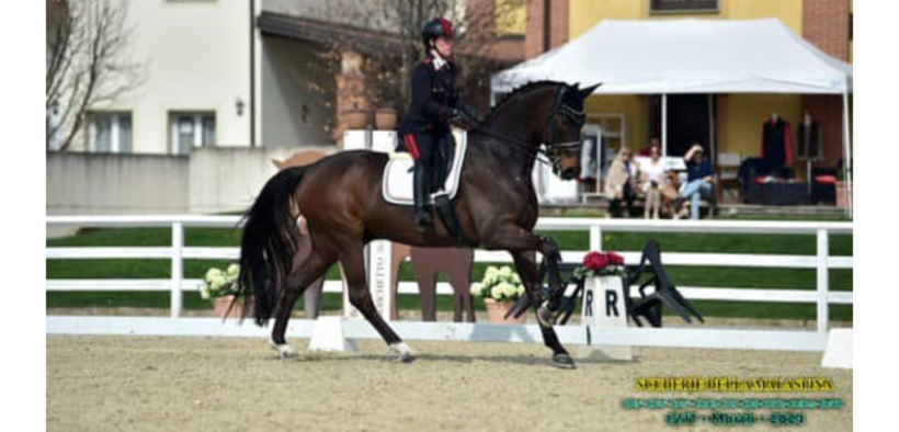 Dressage: Valentina Truppa 2^ nel Freestyle di Ornago (CDI3*) 1