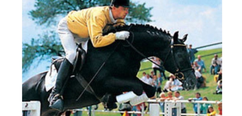 Heraldik XX (Heraldik)