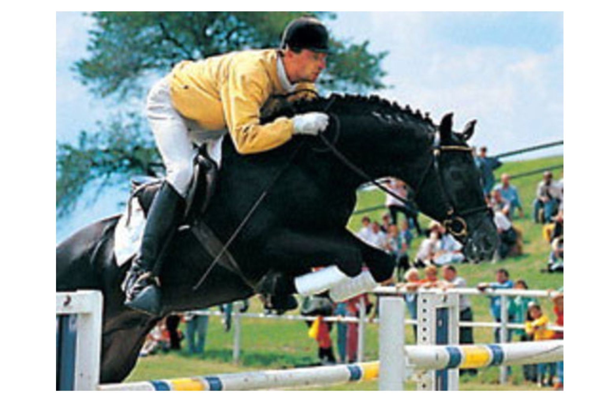 Heraldik XX (Heraldik)