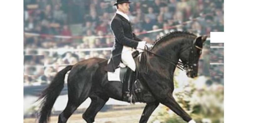 Hohenstein (Hohenstein I - Hohenstein 4)