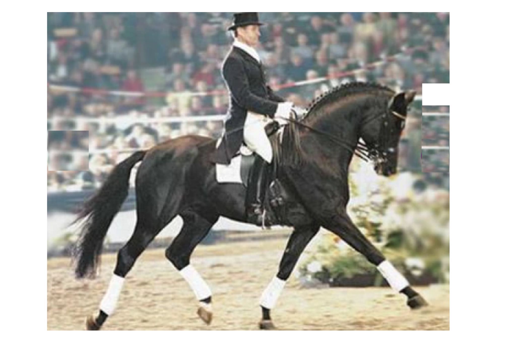 Hohenstein (Hohenstein I - Hohenstein 4)