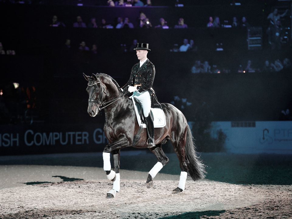 Hotline (Blue Hors Hotline - 95223)