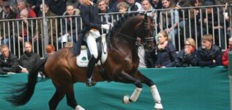 Johnson (Glock’s Johnson TN - Verdi V - Johnson TN)