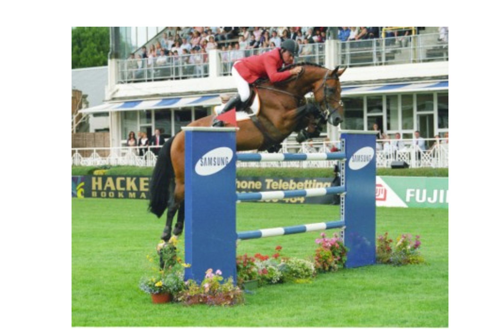 Kashmir van Schuttershof (Kashmir van’t Shuttershof - Kashmir van het Schuttershof)