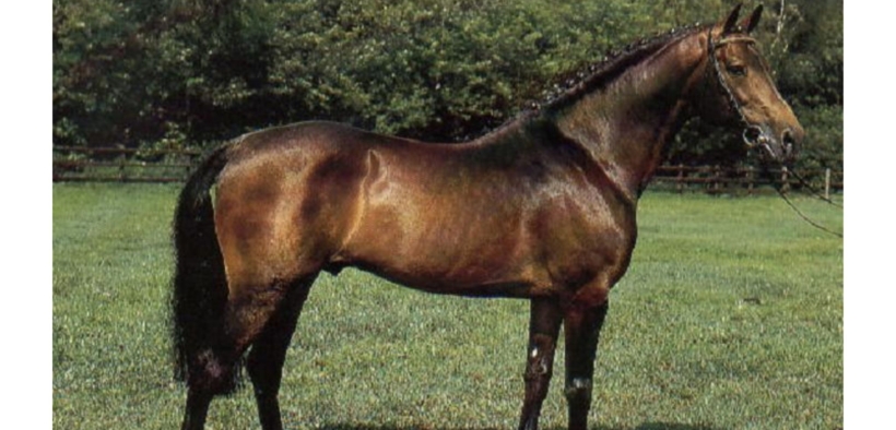 Landadel (Landadel PR)