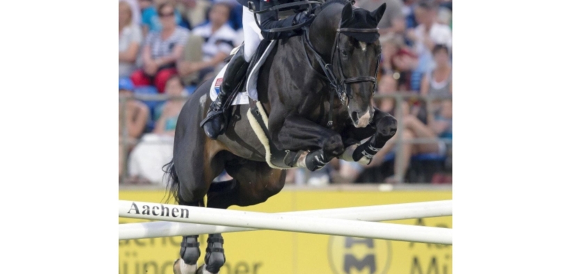 L’Arc de Triomphe (L’Arc de Triomphe Bois Margot - L’Arc de Triomphe Z)