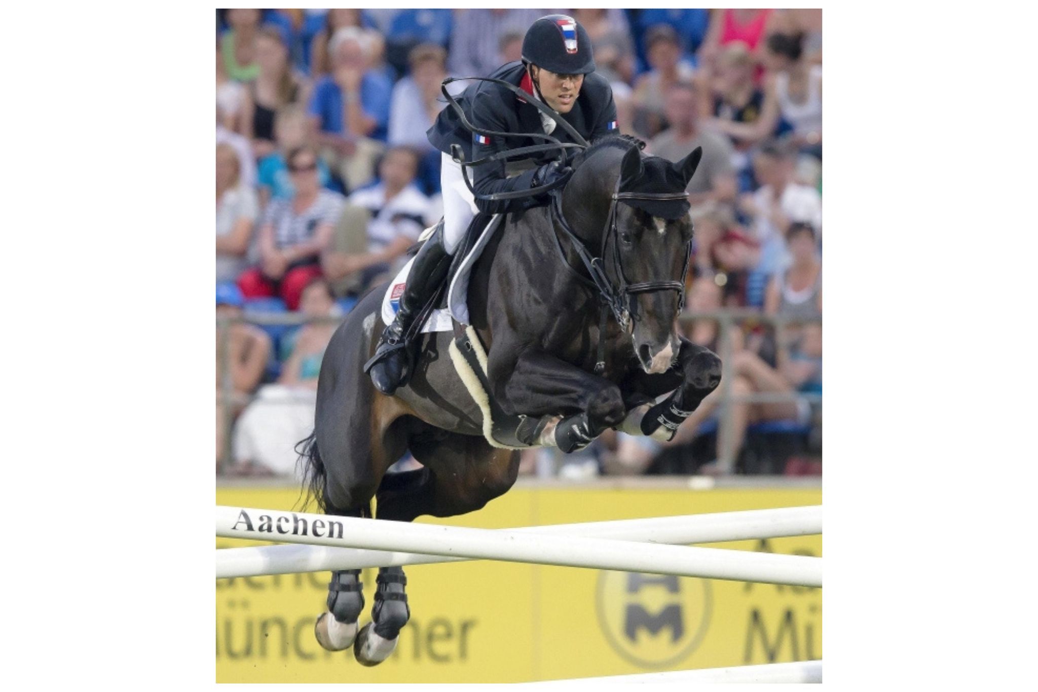 L’Arc de Triomphe (L’Arc de Triomphe Bois Margot - L’Arc de Triomphe Z)