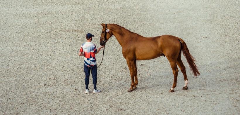 Le iniziative della FEI per migliorare le condizioni lavorative dei groom sono state efficaci?