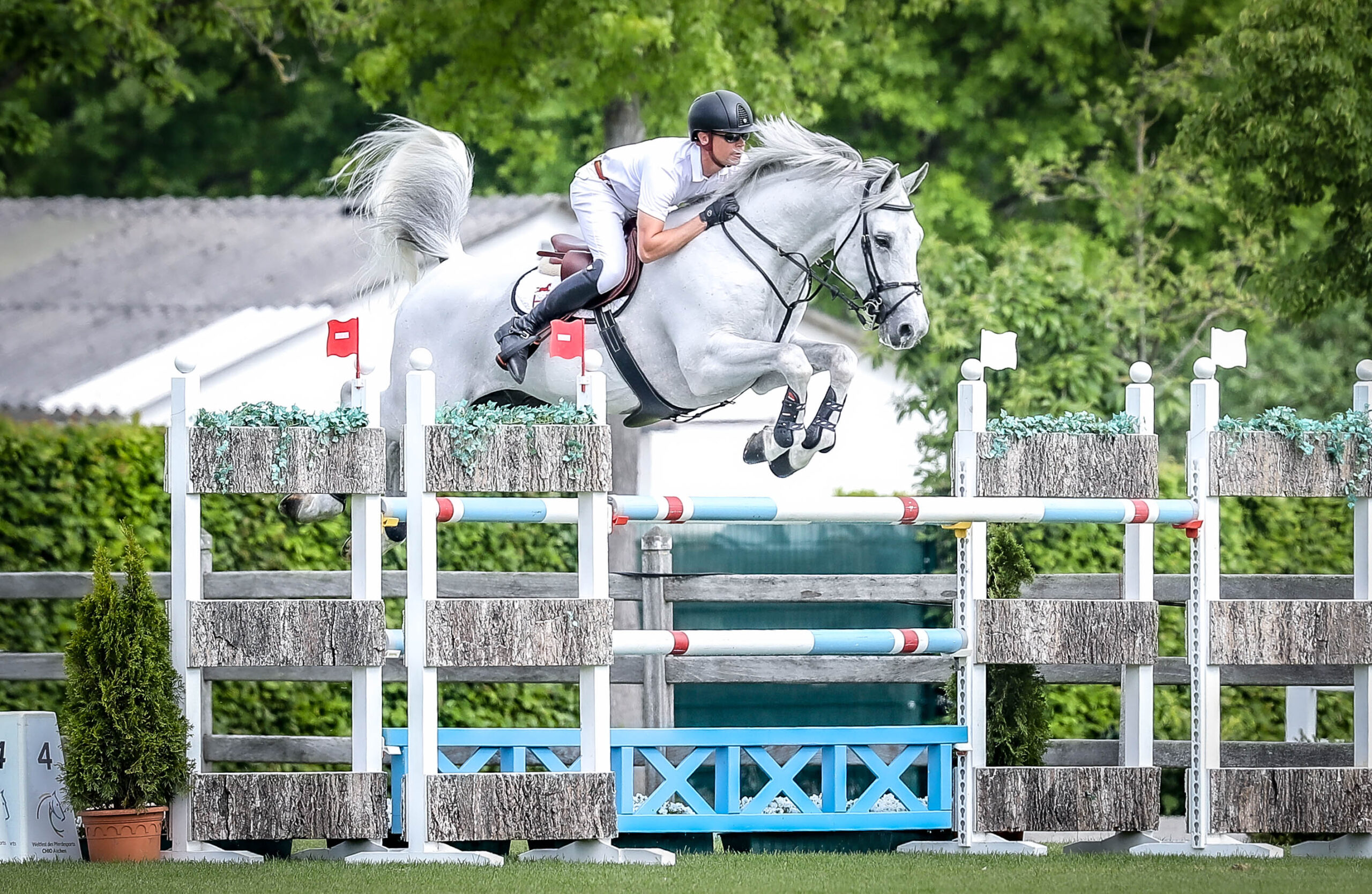 Milton Z (Grupo Prom Milton Z - BCO Milton Z)