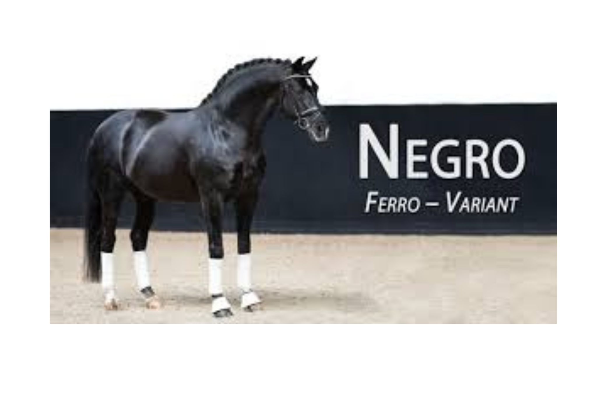 Negro