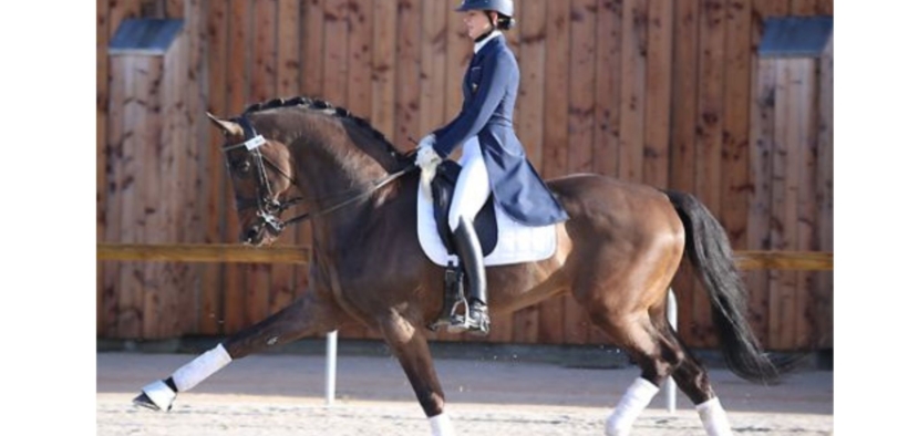 Olivi (Olympic Utopia)