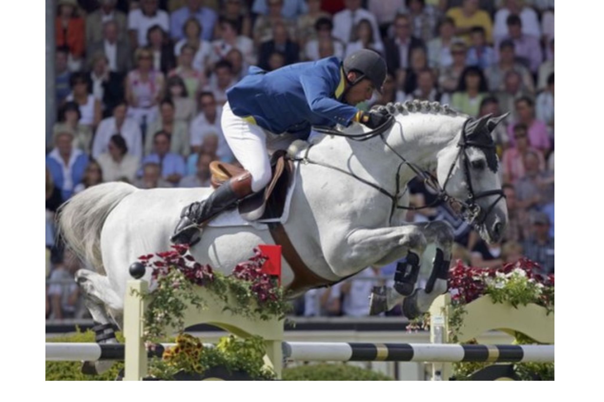 Parco (Parco d’14)