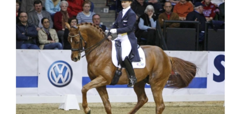 Quando Quando (Quando-Quando/Rosemount Quando Quando)