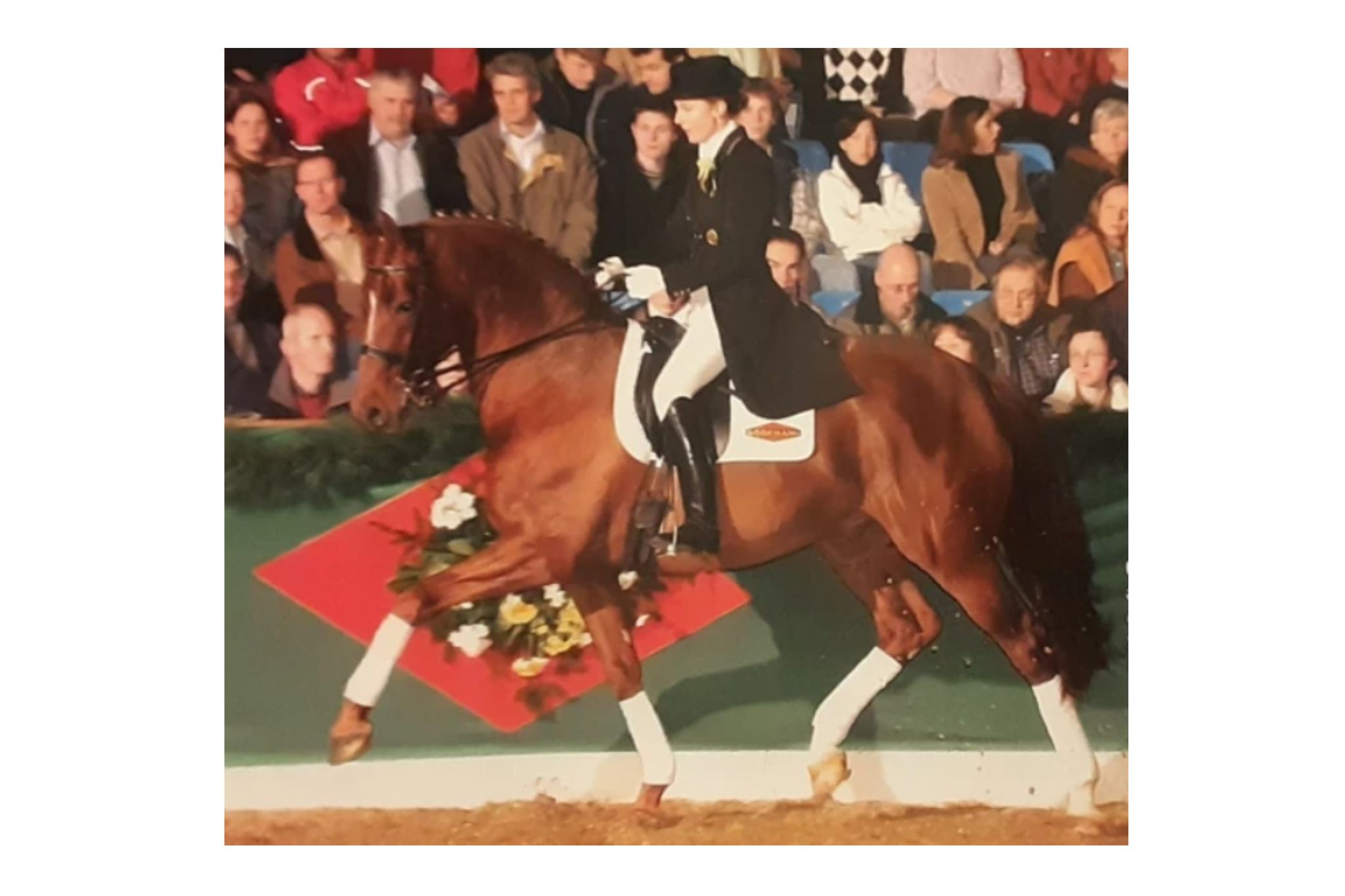 Quattro B (Ciel d’Espoir)