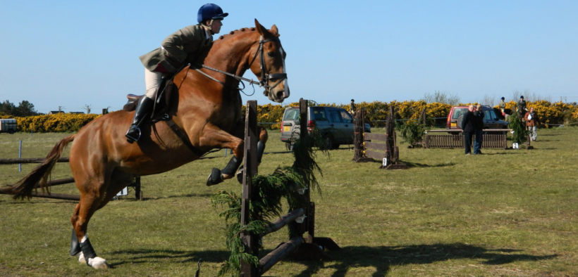 Rapporti compromessi tra FEI e IEOC