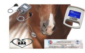 Tesi di laurea sulle devices Bac Technology in 2