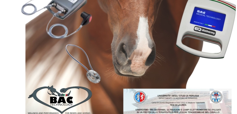 Tesi di laurea sulle devices Bac Technology in 2