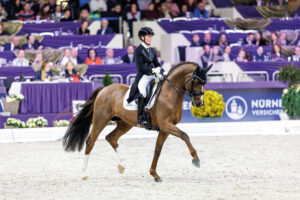 Disponibili gli stalloni Danciano e Golden Romance Malleret PS