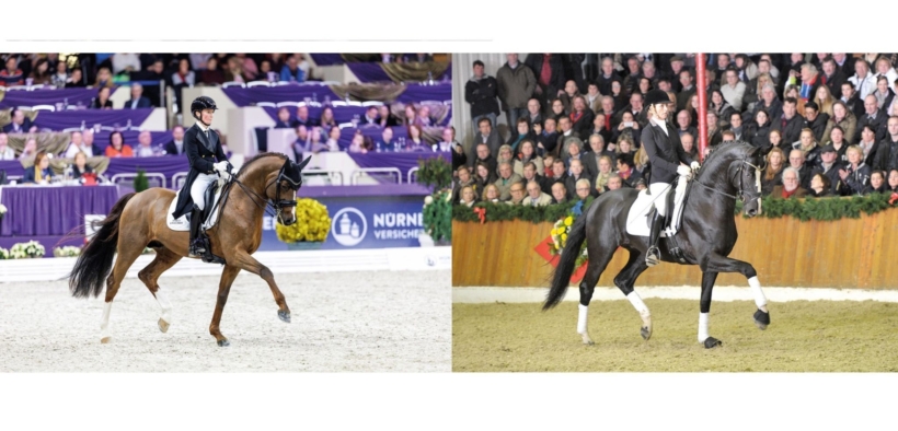 Disponibili gli stalloni Danciano e Golden Romance Malleret PS 3